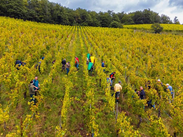 L'environnement avant tout