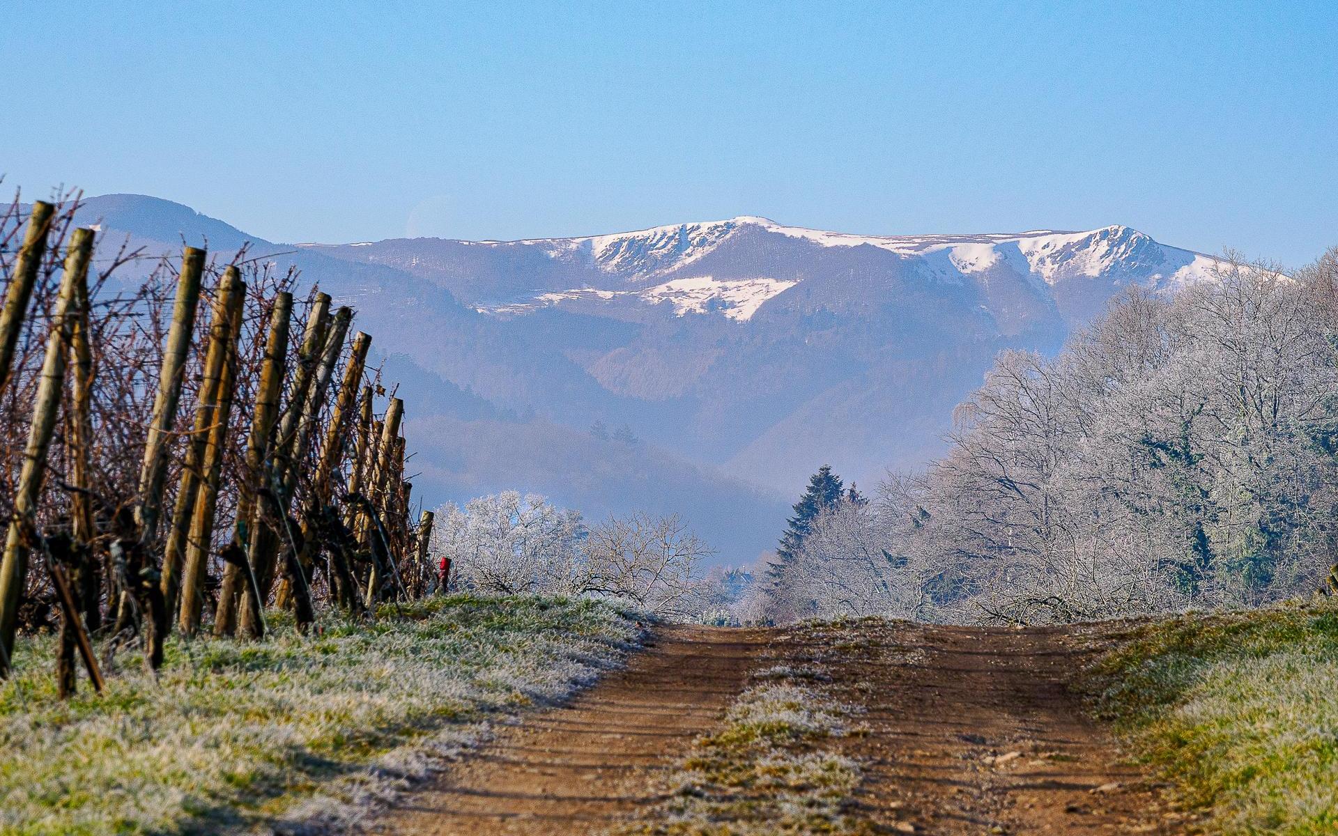 En hiver
