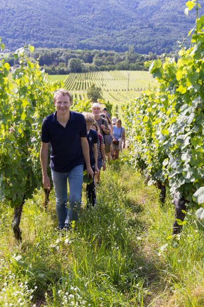 Von der Rebe zum Wein