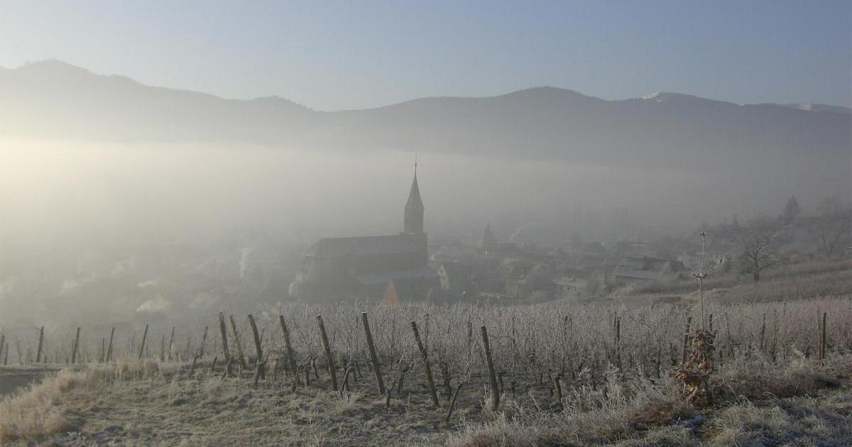 Val Saint Grégoire Terroirs Der Weingut Vins d'Alsace Schoenheitz